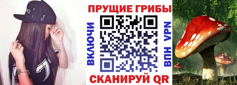 Купить где  Рыбинск  Псилоцибиновые грибы мухоморы 
